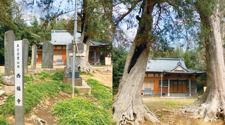 西福寺と石仏郡