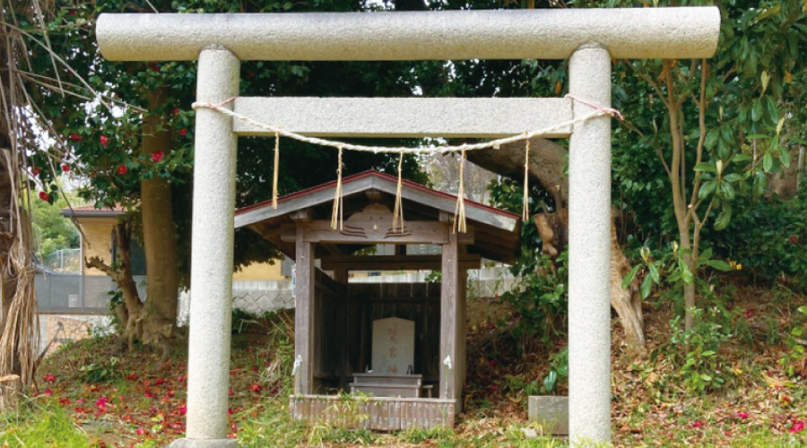鷲宮神社